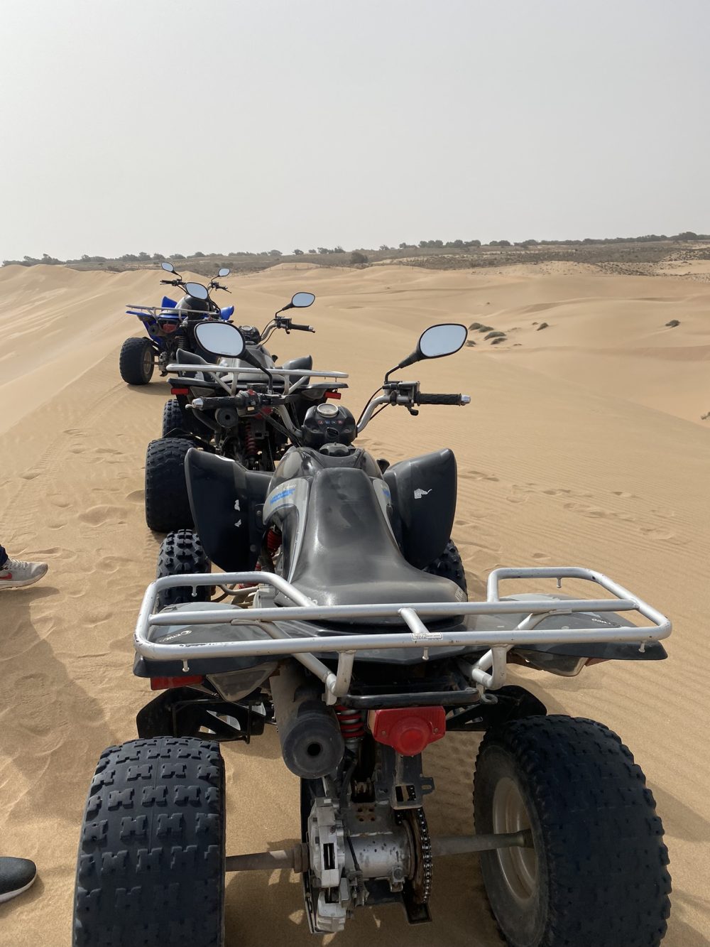 quad bike in agadir and taghazout
