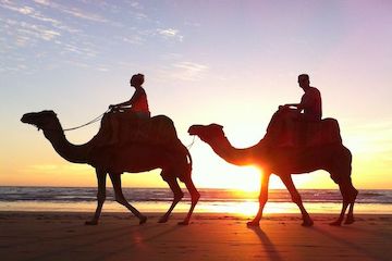 Camel Ride Tour in Taghazout