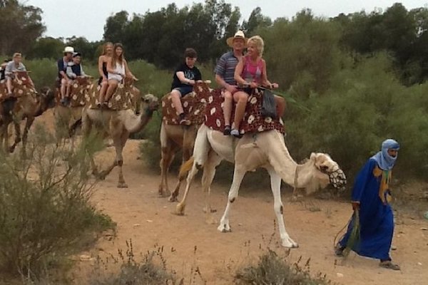 Camel Ride In Agadir - Camel Riding - Marocknroll Tours