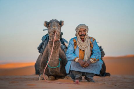 Camel ride in Agadir