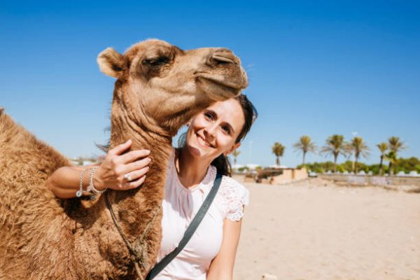 camel ride in agadir