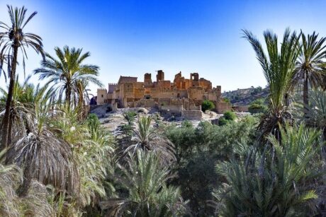 Tiout And Taroudant Day Trip