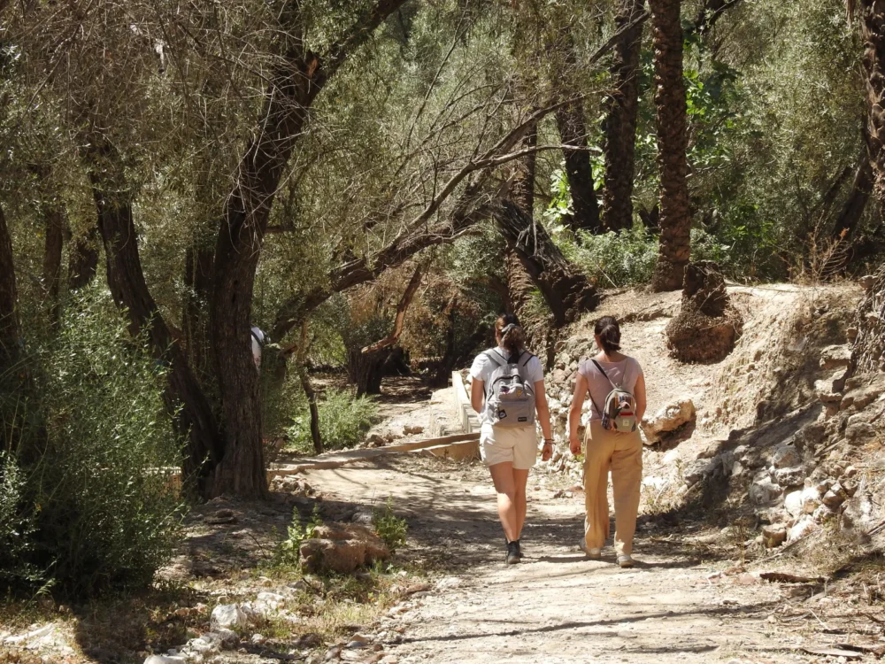 Hiking in Agadir – Full-Day Guided Mountain Trek with Local Amazigh Guide