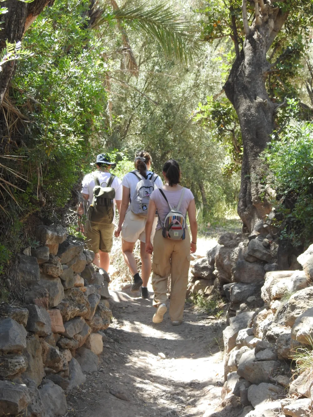 Hiking in Agadir – Full-Day Guided Mountain Trek with Local Amazigh Guide