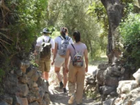 Hiking in Agadir – Full-Day Guided Mountain Trek with Local Amazigh Guide