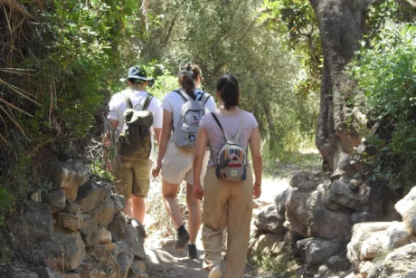 Hiking in Agadir – Full-Day Guided Mountain Trek with Local Amazigh Guide