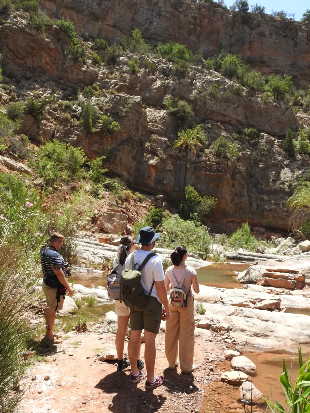 Hiking in Agadir – Full-Day Guided Mountain Trek with Local Amazigh Guide