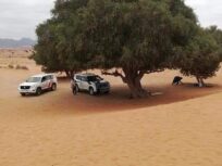 Desert Full-Day Trip from Agadir