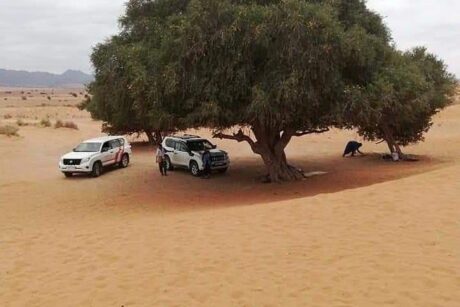 Desert Full-Day Trip from Agadir