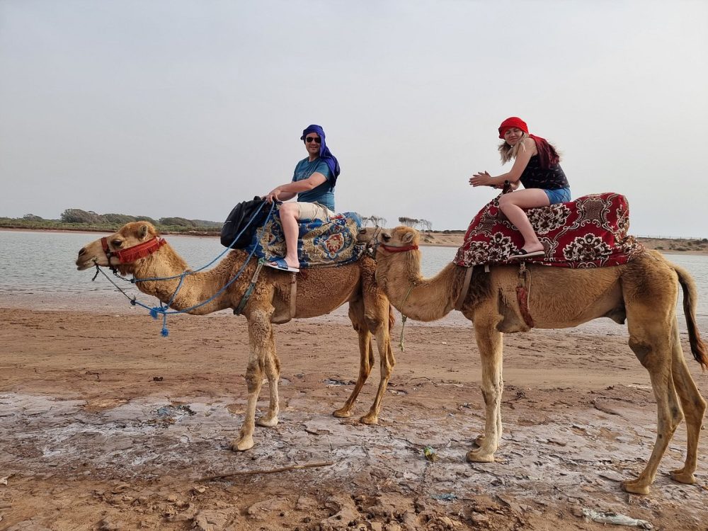 Camel Ride in Agadir