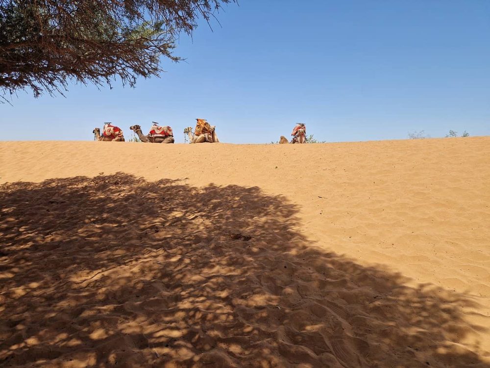 Full-Day Desert Trip from Agadir