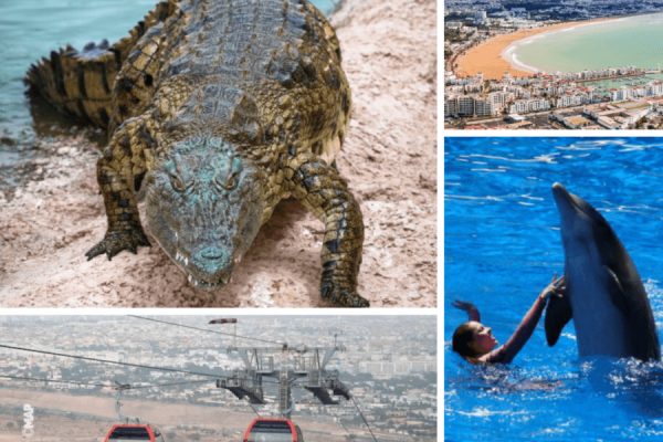 crocopark dolphine and cable car