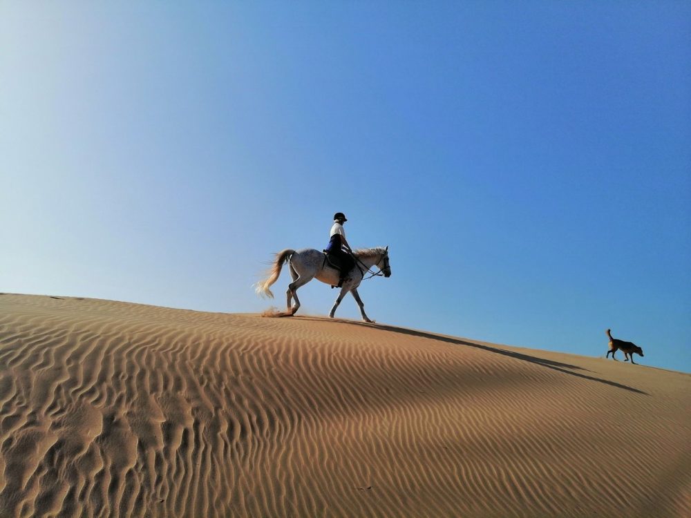 Horse Riding In Essaouira