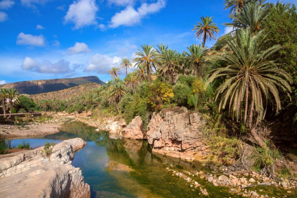 Paradise Valley Agadir