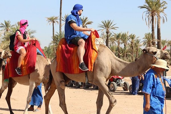 How Much Does It Cost to Ride a Camel in Morocco?