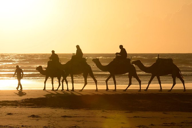 Camel Ride in Essaouira