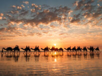Camel Ride Tour in Taghazout