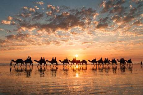 Camel Ride Tour in Taghazout