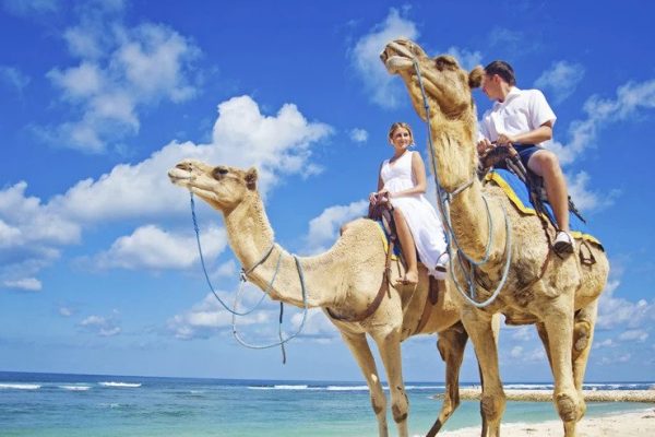 camel ride in agadir