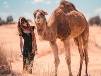 Przejażdżka na wielbłądzie w Agadirze
