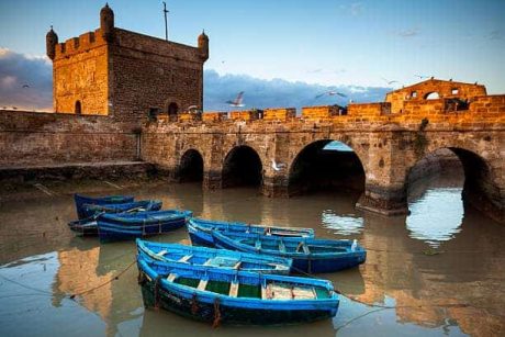 Camel ride, quad biking, sandboarding, and Essaouira day trips from Imsouane