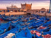DAY TRIP TO ESSAOUIRA FROM MARRAKECH