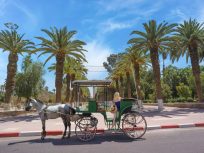 Tiout And Taroudant Day Trip