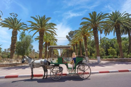 Tiout And Taroudant Day Trip