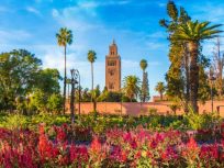 Explore Marrakech on a Full-Day Trip from Taghazout