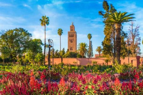 Explore Marrakech on a Full-Day Trip from Taghazout
