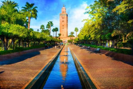 Explore Marrakech on a Full-Day Trip from Taghazout