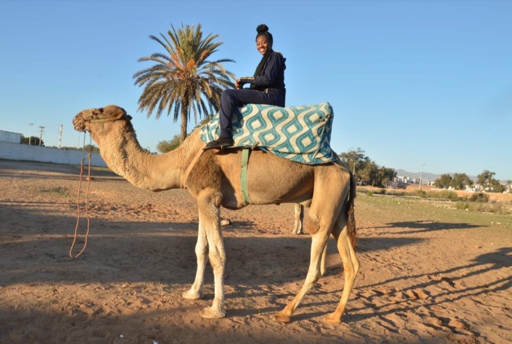 Camel Ride Agadir