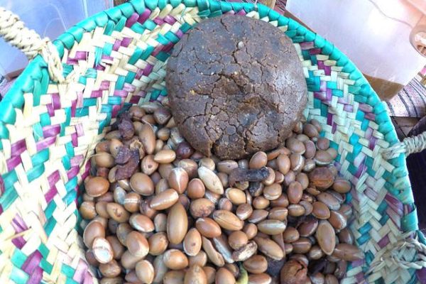 Join our Argan Oil Factory Tour in Agadir and explore traditional and modern production methods. Enjoy guided tours, product sampling, and scenic views. Book now