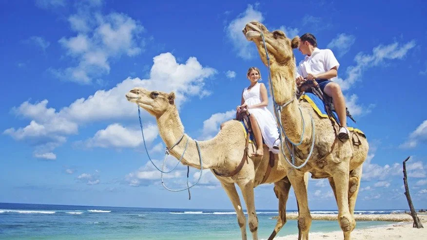 Agadir tours - Agadir excursions