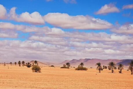 Desert Tours from Agadir