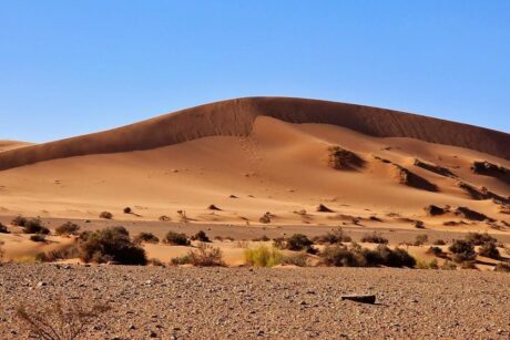 Desert Tour from Marrakech to Merzouga