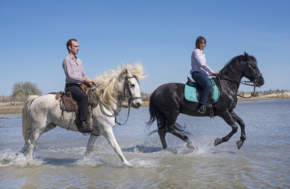 Horse ride in Agadir and Taghazout