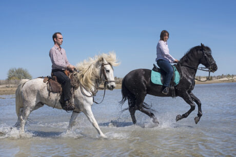 Horse ride in Agadir and Taghazout