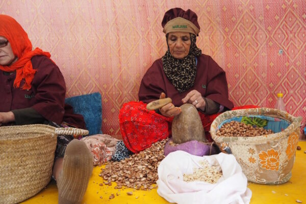 buy real argan oil Morocco