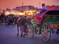 Explore Marrakech after dark on a private guided night tour with a traditional calèche ride. Experience Jemaa el-Fna, the Medina, and night souks with a local guide.