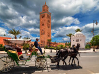 Discover Marrakech by traditional horse-drawn carriage on a relaxed city tour. Ride along the historic ramparts, pass iconic gardens, and enjoy a scenic, cultural experience with hotel pickup.